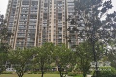 环节都由专业人员全程担任